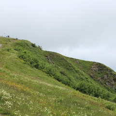 Urlaub im Schwarzwald (3)